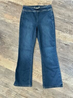 We the Free Pull On Stretch Bootcut Jeans
